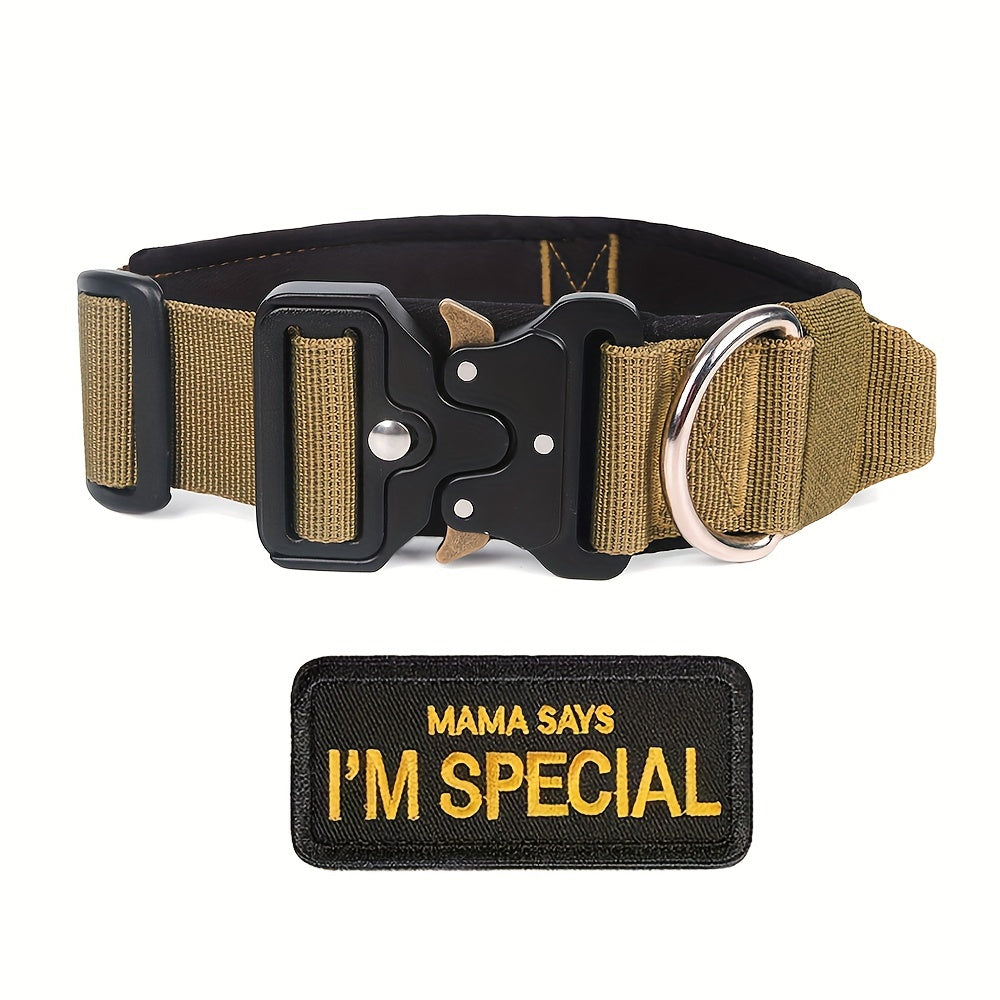 Tactical Dog Collar and Heavy Duty Elastic Leash Set for Medium Large Dogs - High Strength Metal Buckle Nylon Dog Collar, Stretchable Bungee Dog Leash, Outdoor Training Walking Gear
